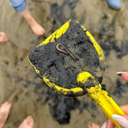 Kuestenkaennchen Apartment *