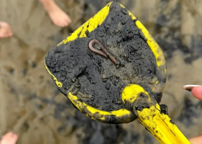 Küstenkännchen Apartamento *